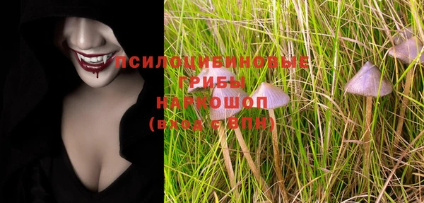 первитин Арсеньев