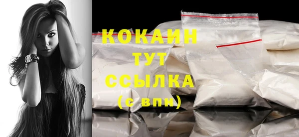 индика Ачинск