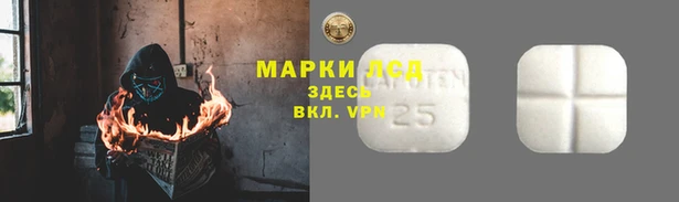 гидра Аркадак