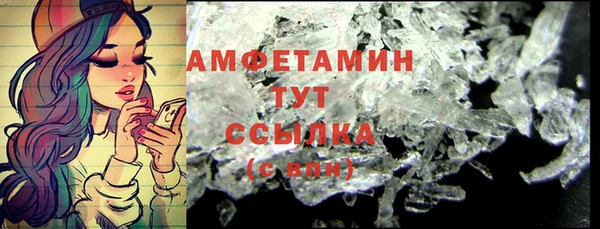 гидра Аркадак