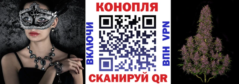 Конопля OG Kush  Беслан 
